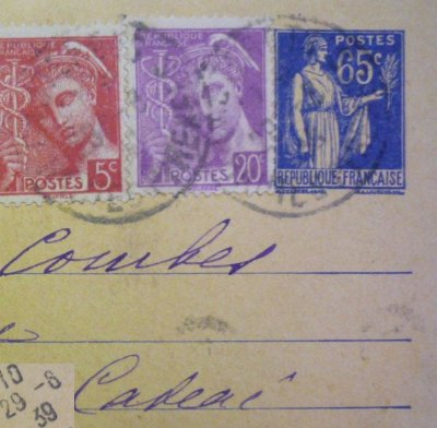 Related Image